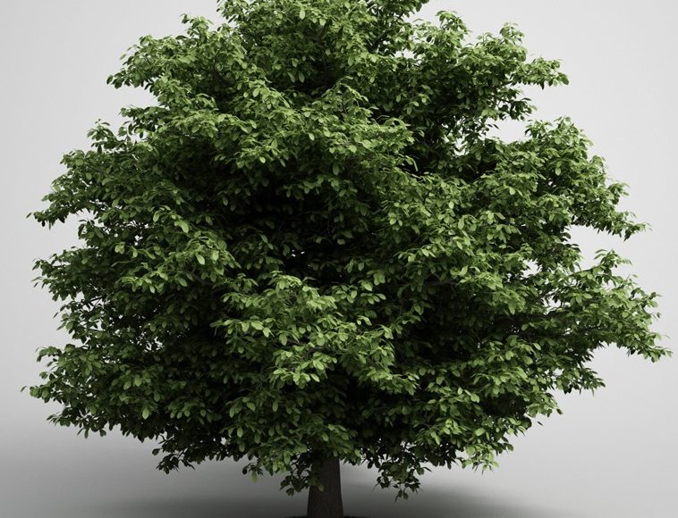 Free download 3D model Trees Collection Vol 5 From CGAxis 2