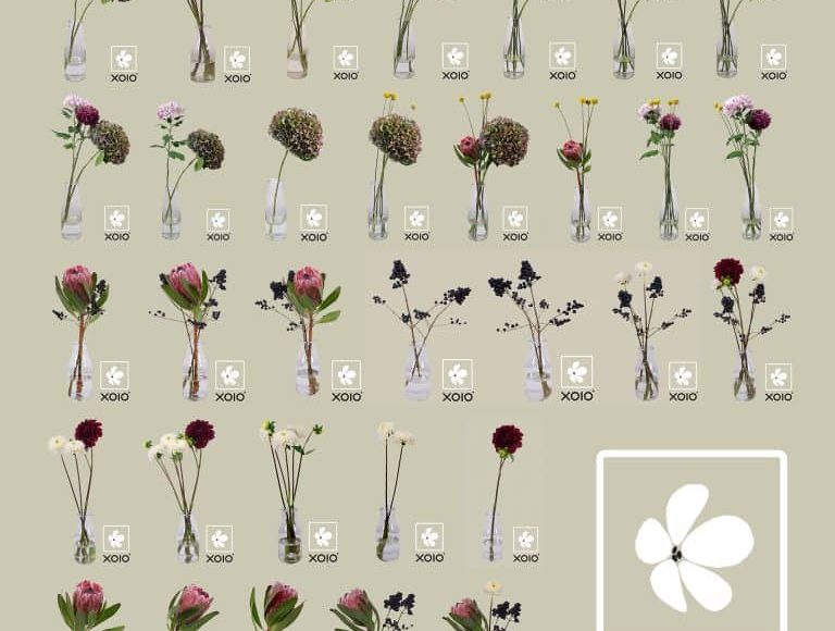 Flower Cutout Giveaway from XOIO AIR 1