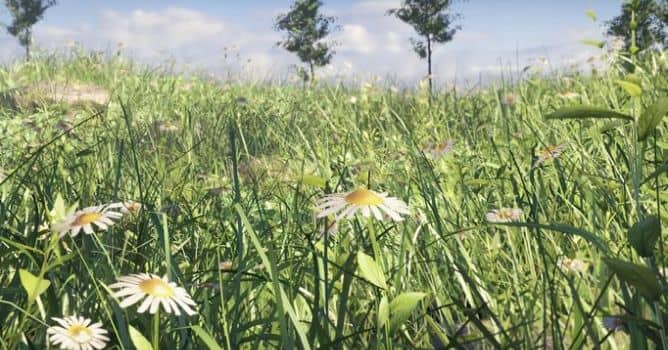 Tutorials Create Realistic Grass in Blender 2.8 in 15 minutes
