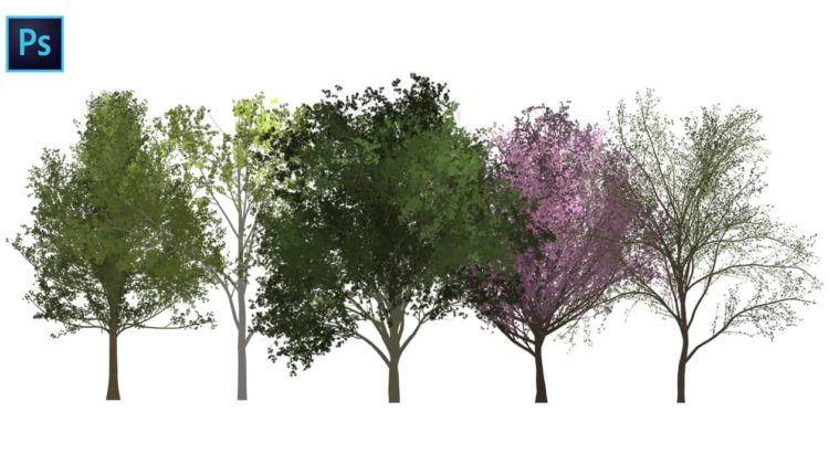 How To Create Trees In Photoshop from Reid Southen