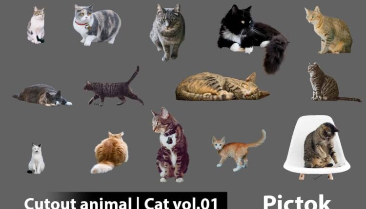 Download Free Cutout Animal – Cat Collection Vol.01 from Pictok