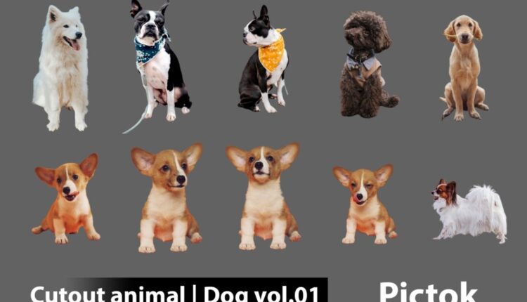 Download Free Cutout Animal – Dog Collection Vol.01 from Pictok