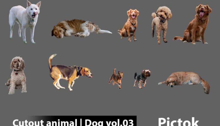 Download Free Cutout Animal – Dog Collection Vol.03 from Pictok