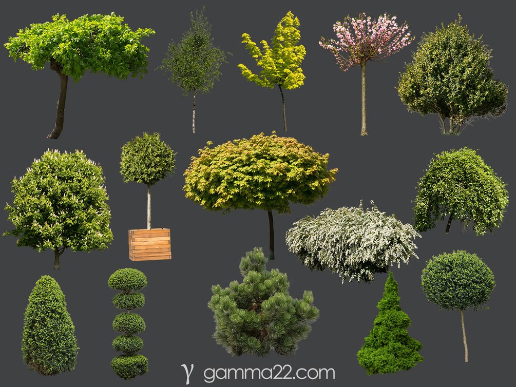 15 High Quality PNG Tree and Bush CUTOUTS for FREE