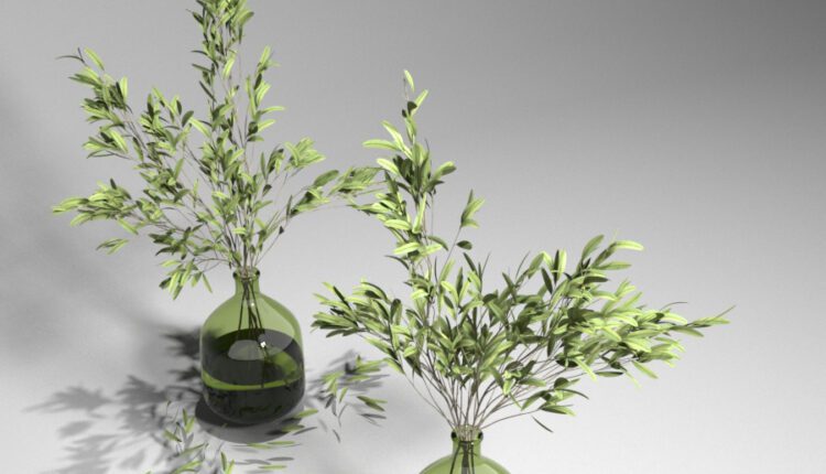 Free 3d model Olive Plant Green Glass Vase by MIBS