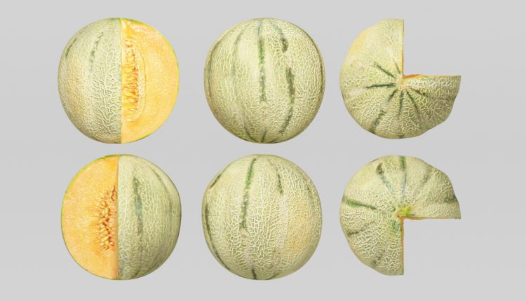 Free 3D model Cantaloupe Melon by VIZPARK